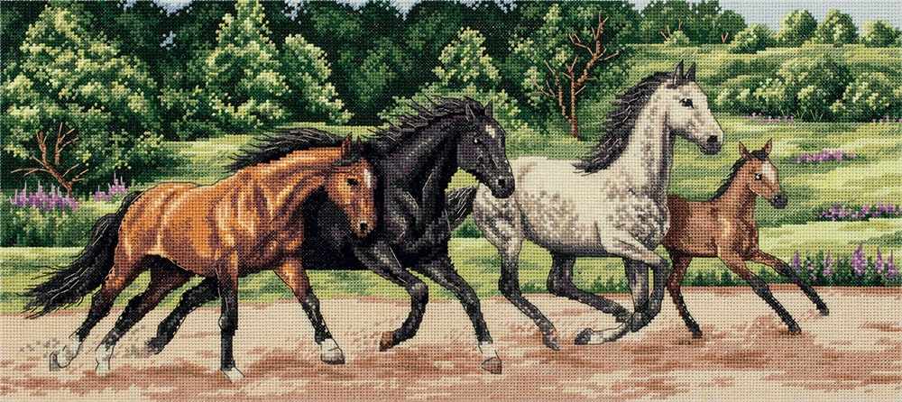 Wild Horses